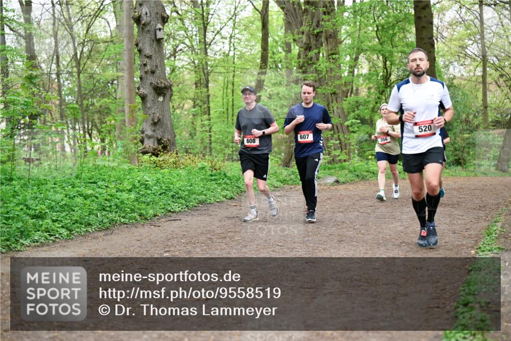 19.04.2026 - Hammer Lauf Dr. Thomas Lammeyer http://msf.ph/oto/9558519 19.04.2026 12:44:58 Laufen 608, 607, 520, 356 meine-sportfotos.de