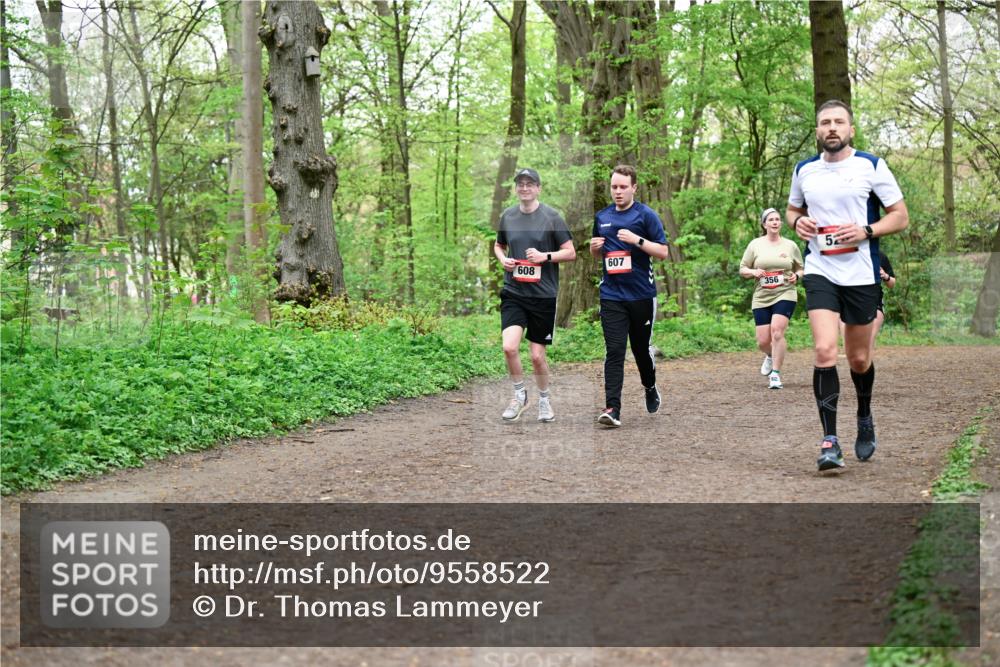 19.04.2026 - Hammer Lauf Dr. Thomas Lammeyer http://msf.ph/oto/9558522 19.04.2026 12:44:57 Laufen 608, 607, 356 meine-sportfotos.de