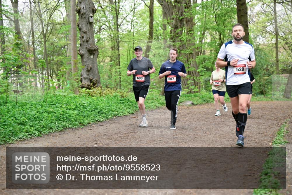 19.04.2026 - Hammer Lauf Dr. Thomas Lammeyer http://msf.ph/oto/9558523 19.04.2026 12:44:58 Laufen 608, 607, 356, 520 meine-sportfotos.de