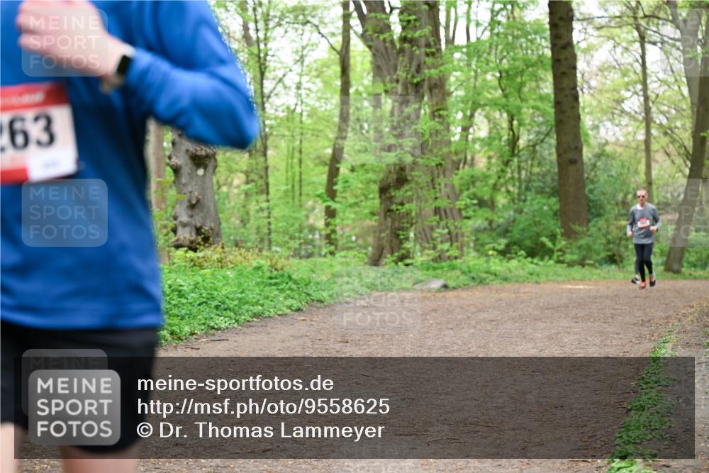 19.04.2026 - Hammer Lauf Dr. Thomas Lammeyer http://msf.ph/oto/9558625 19.04.2026 12:45:23 Laufen 263 meine-sportfotos.de