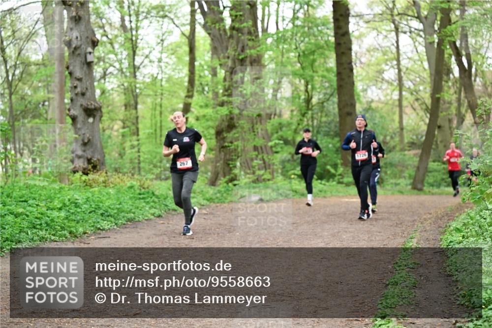 19.04.2026 - Hammer Lauf Dr. Thomas Lammeyer http://msf.ph/oto/9558663 19.04.2026 12:45:31 Laufen 267 meine-sportfotos.de