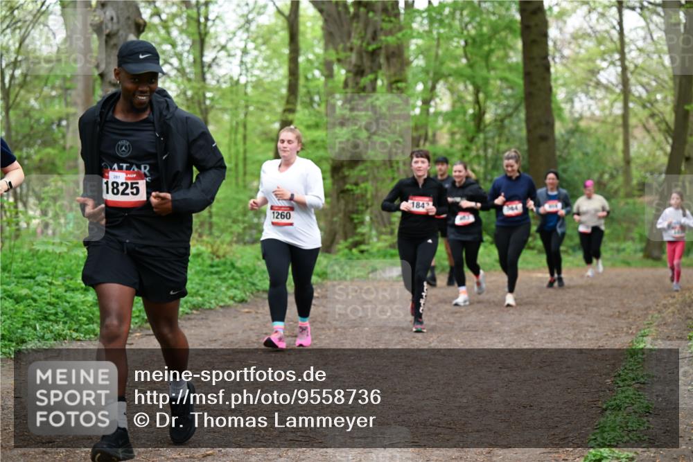 19.04.2026 - Hammer Lauf Dr. Thomas Lammeyer http://msf.ph/oto/9558736 19.04.2026 12:45:45 Laufen 1825, 1260, 1842 meine-sportfotos.de