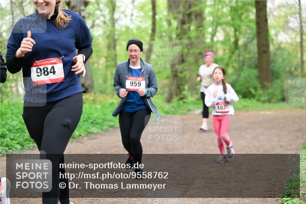 19.04.2026 - Hammer Lauf Dr. Thomas Lammeyer http://msf.ph/oto/9558762 19.04.2026 12:45:50 Laufen 984, 959, 1023 meine-sportfotos.de