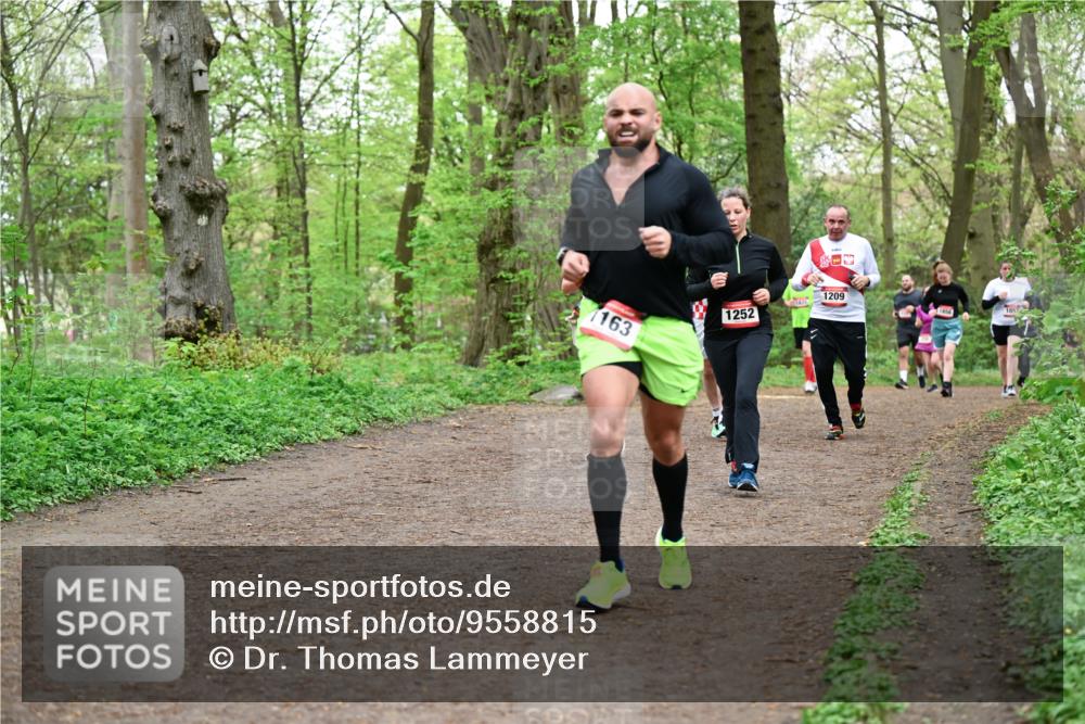 19.04.2026 - Hammer Lauf Dr. Thomas Lammeyer http://msf.ph/oto/9558815 19.04.2026 12:46:05 Laufen 1209, 1252, 1163 meine-sportfotos.de