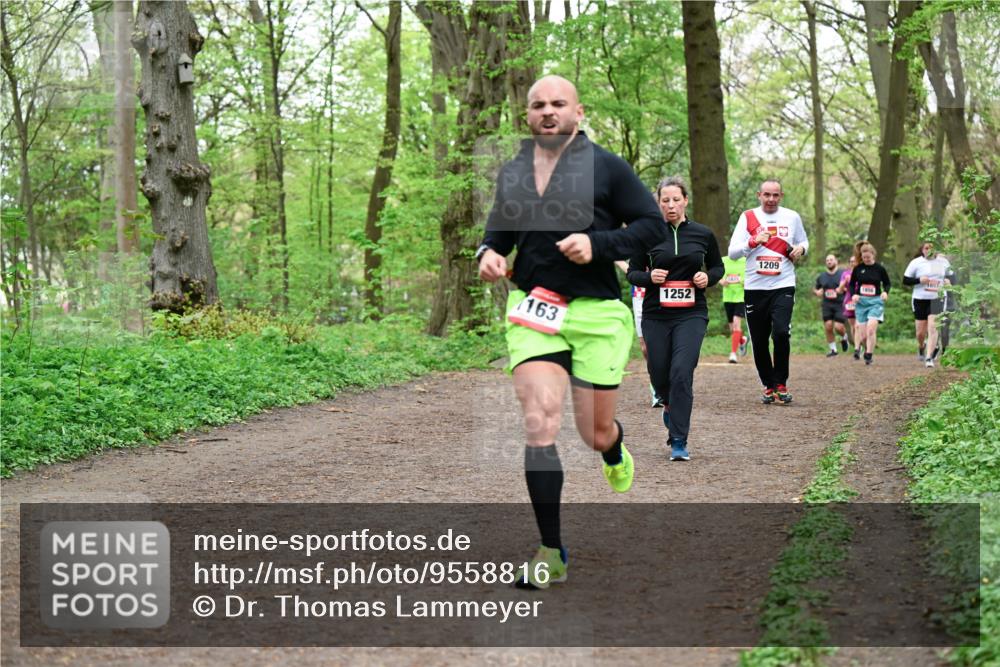 19.04.2026 - Hammer Lauf Dr. Thomas Lammeyer http://msf.ph/oto/9558816 19.04.2026 12:46:05 Laufen 163, 1252, 1209 meine-sportfotos.de