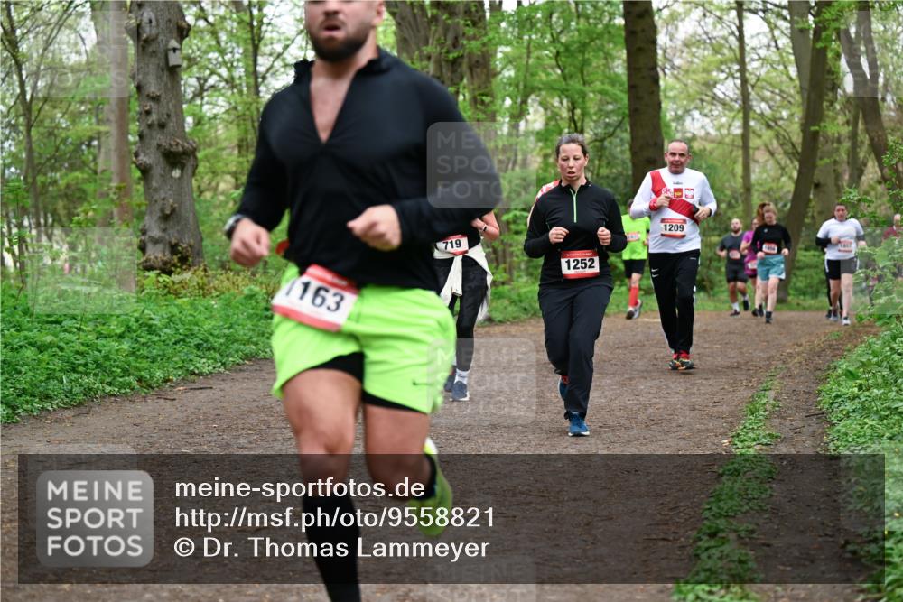 19.04.2026 - Hammer Lauf Dr. Thomas Lammeyer http://msf.ph/oto/9558821 19.04.2026 12:46:05 Laufen 163, 719, 1252, 1209, 1857 meine-sportfotos.de
