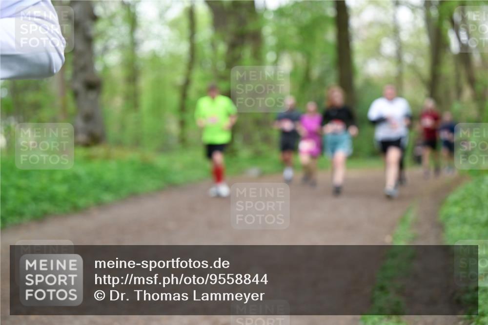 19.04.2026 - Hammer Lauf Dr. Thomas Lammeyer http://msf.ph/oto/9558844 19.04.2026 12:46:10 Laufen  meine-sportfotos.de