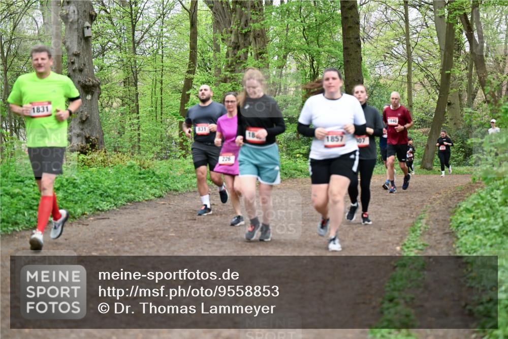 19.04.2026 - Hammer Lauf Dr. Thomas Lammeyer http://msf.ph/oto/9558853 19.04.2026 12:46:12 Laufen 1831, 831, 226, 1857, 107, 1840 meine-sportfotos.de