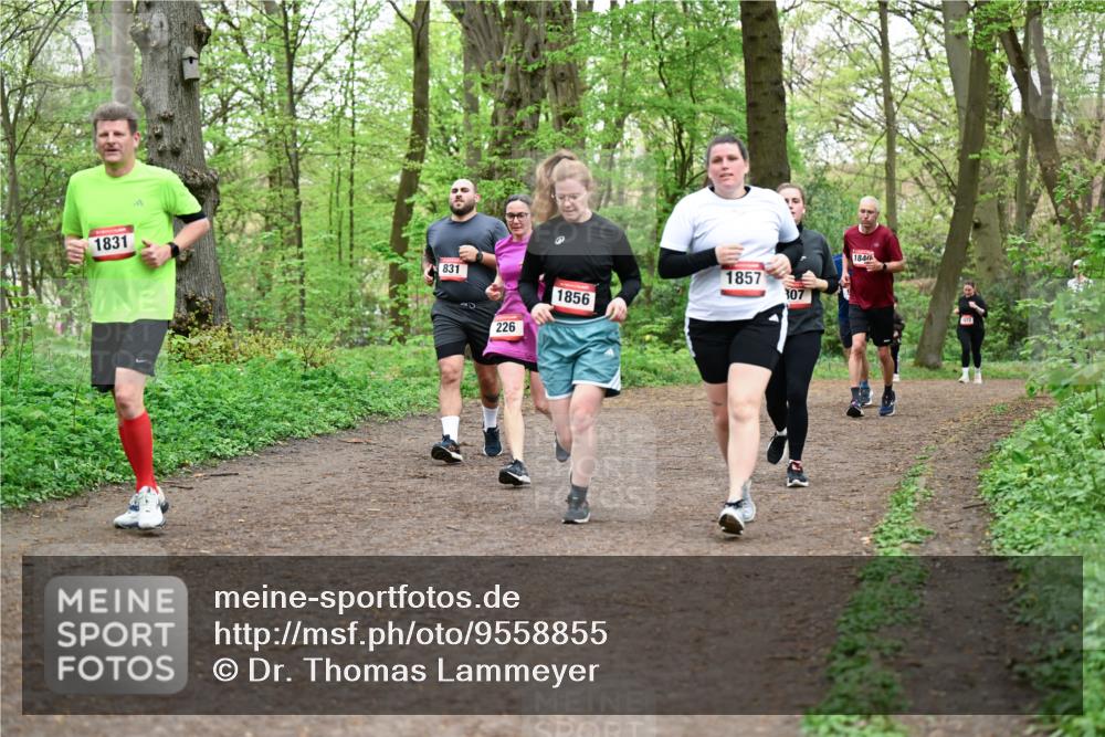19.04.2026 - Hammer Lauf Dr. Thomas Lammeyer http://msf.ph/oto/9558855 19.04.2026 12:46:12 Laufen 1831, 831, 226, 1856, 1857, 307, 184 meine-sportfotos.de