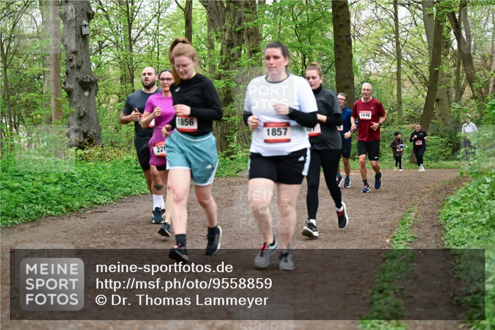 19.04.2026 - Hammer Lauf Dr. Thomas Lammeyer http://msf.ph/oto/9558859 19.04.2026 12:46:13 Laufen 228, 1856, 1857, 1840 meine-sportfotos.de