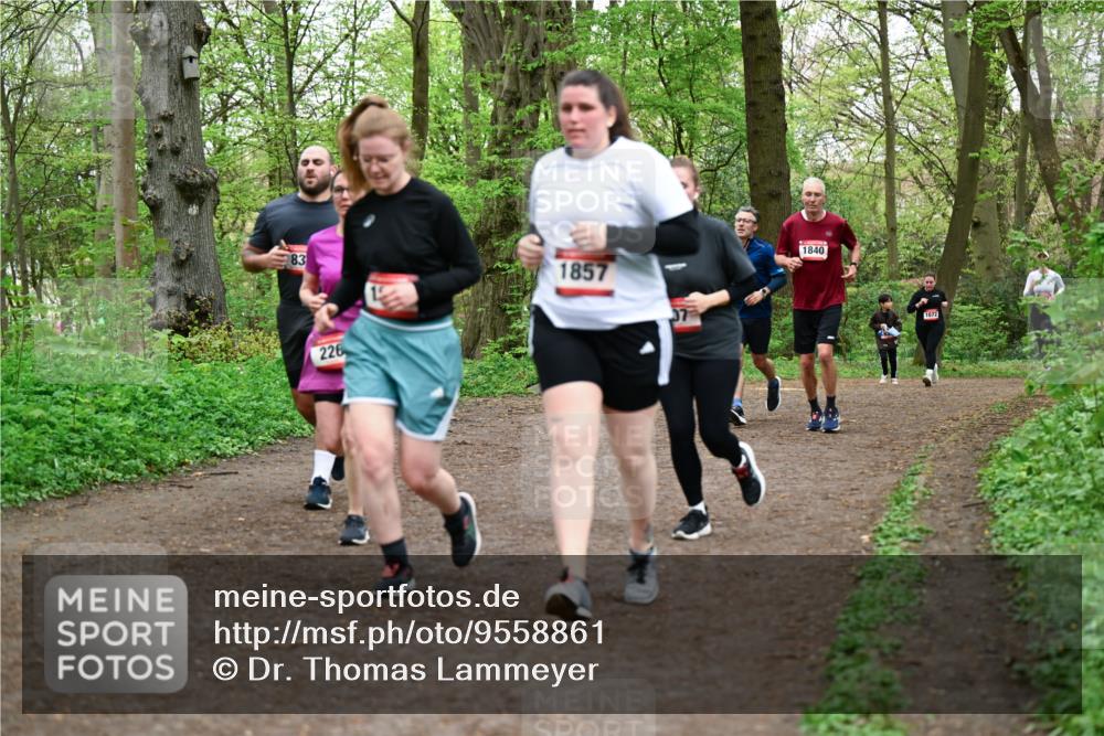 19.04.2026 - Hammer Lauf Dr. Thomas Lammeyer http://msf.ph/oto/9558861 19.04.2026 12:46:13 Laufen 226, 1857, 1840, 1072 meine-sportfotos.de
