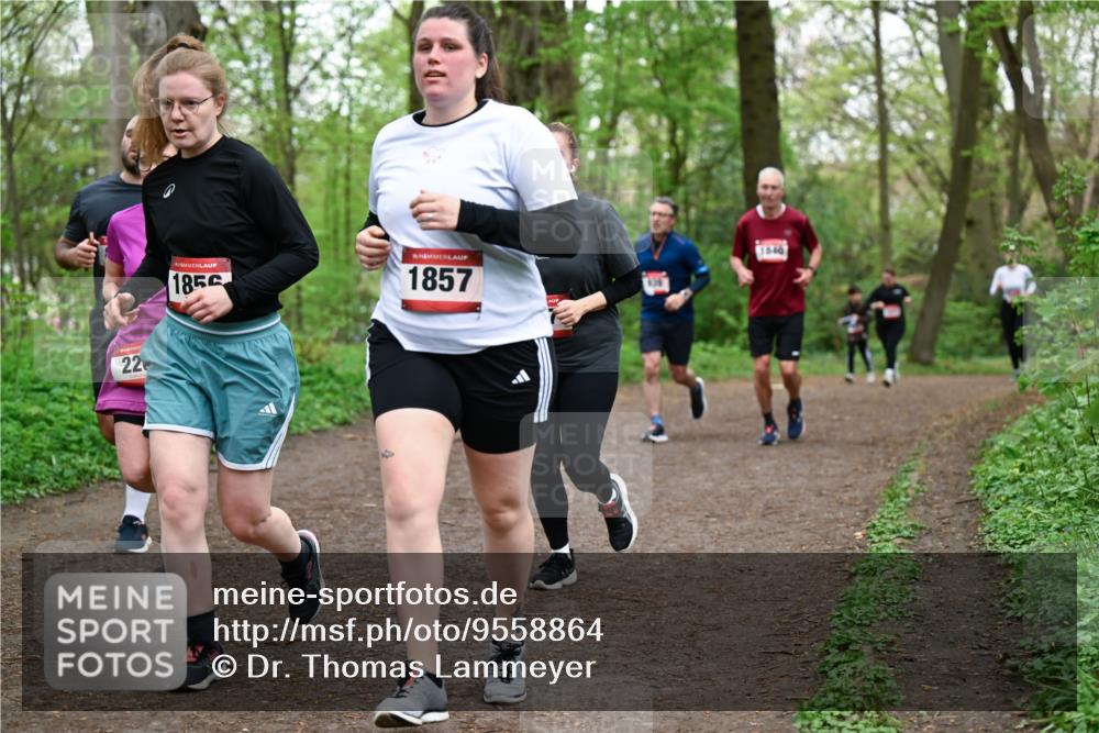 19.04.2026 - Hammer Lauf Dr. Thomas Lammeyer http://msf.ph/oto/9558864 19.04.2026 12:46:14 Laufen 1859, 1857, 1540, 136 meine-sportfotos.de