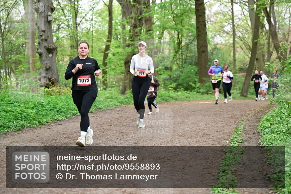 19.04.2026 - Hammer Lauf Dr. Thomas Lammeyer http://msf.ph/oto/9558893 19.04.2026 12:46:21 Laufen 1072, 867 meine-sportfotos.de