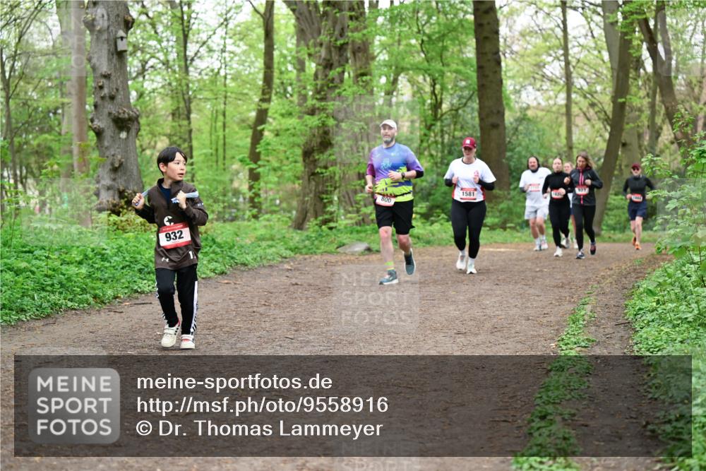 19.04.2026 - Hammer Lauf Dr. Thomas Lammeyer http://msf.ph/oto/9558916 19.04.2026 12:46:25 Laufen 932, 800, 1581 meine-sportfotos.de