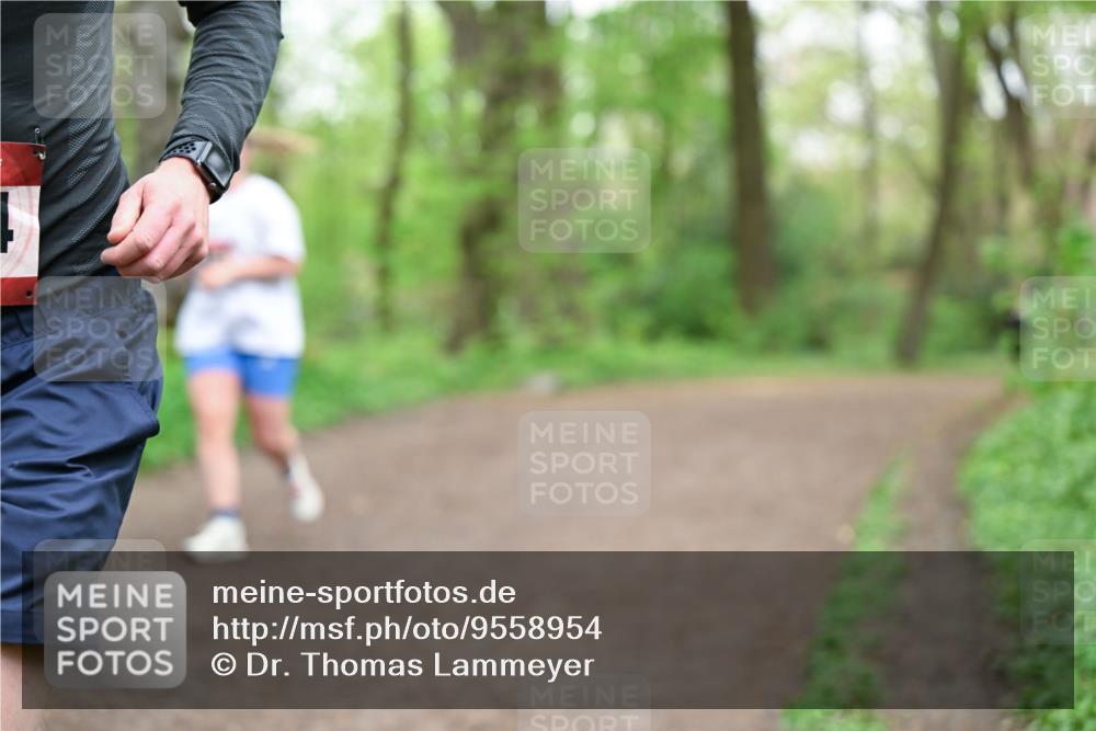 19.04.2026 - Hammer Lauf Dr. Thomas Lammeyer http://msf.ph/oto/9558954 19.04.2026 12:46:33 Laufen  meine-sportfotos.de