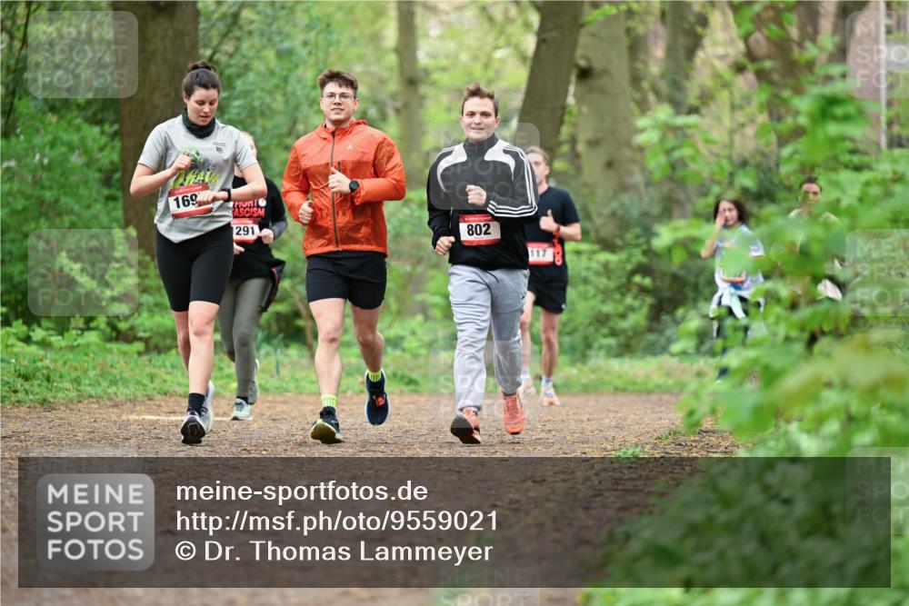 19.04.2026 - Hammer Lauf Dr. Thomas Lammeyer http://msf.ph/oto/9559021 19.04.2026 12:46:47 Laufen 169, 291, 802, 117 meine-sportfotos.de