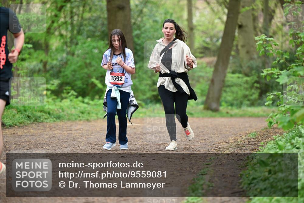 19.04.2026 - Hammer Lauf Dr. Thomas Lammeyer http://msf.ph/oto/9559081 19.04.2026 12:46:54 Laufen 1592 meine-sportfotos.de