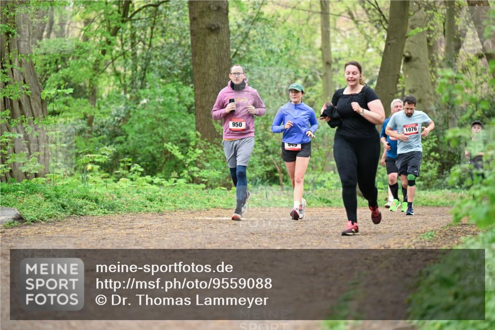 19.04.2026 - Hammer Lauf Dr. Thomas Lammeyer http://msf.ph/oto/9559088 19.04.2026 12:47:01 Laufen 950, 949, 1076 meine-sportfotos.de