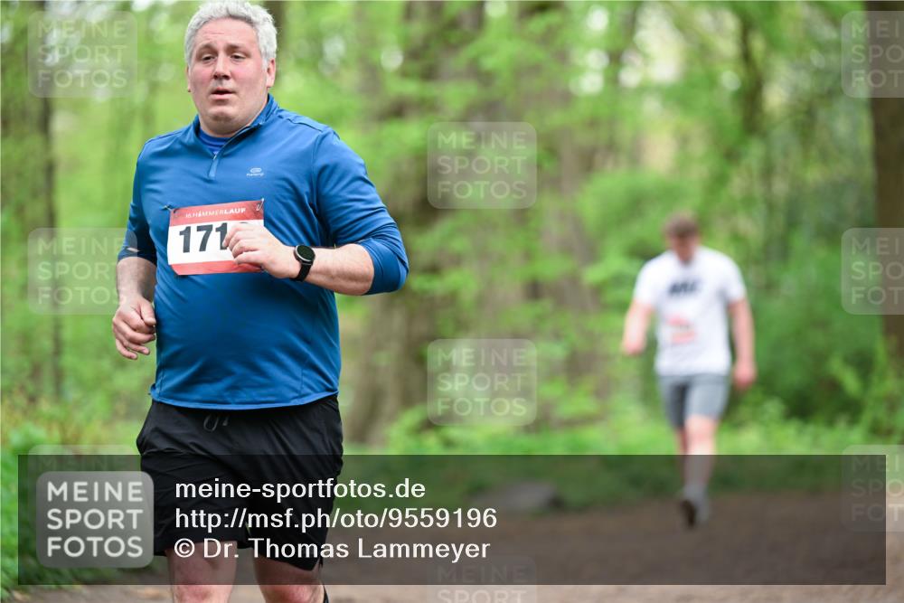 19.04.2026 - Hammer Lauf Dr. Thomas Lammeyer http://msf.ph/oto/9559196 19.04.2026 12:47:12 Laufen 171 meine-sportfotos.de