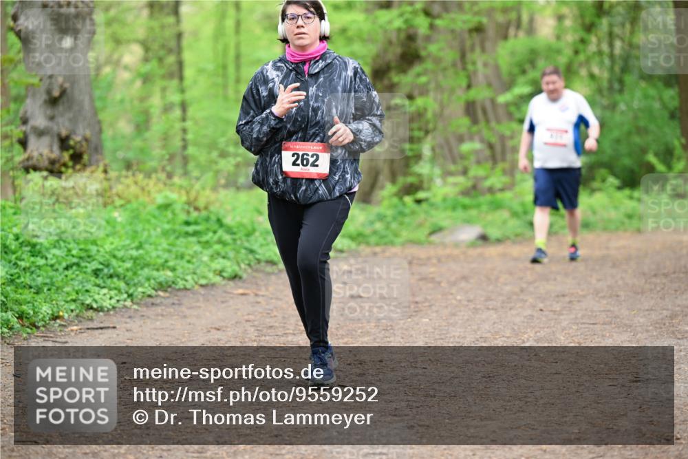 19.04.2026 - Hammer Lauf Dr. Thomas Lammeyer http://msf.ph/oto/9559252 19.04.2026 12:47:21 Laufen 262, 411 meine-sportfotos.de