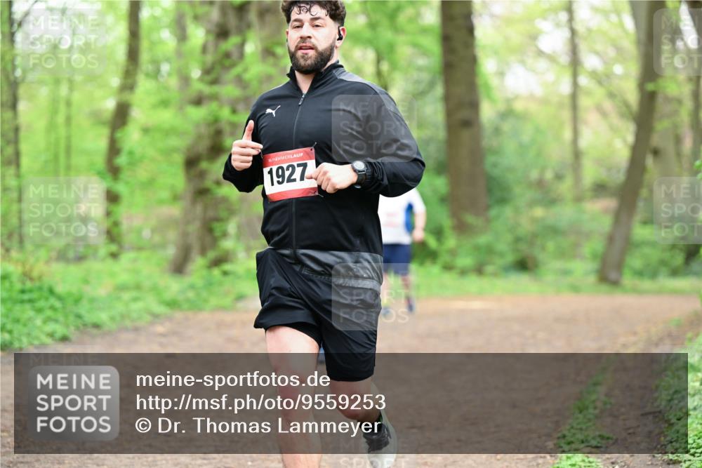 19.04.2026 - Hammer Lauf Dr. Thomas Lammeyer http://msf.ph/oto/9559253 19.04.2026 12:47:20 Laufen 1927 meine-sportfotos.de