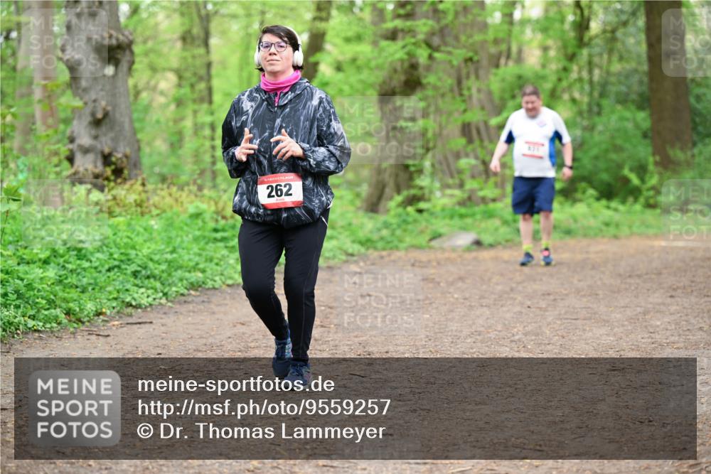 19.04.2026 - Hammer Lauf Dr. Thomas Lammeyer http://msf.ph/oto/9559257 19.04.2026 12:47:22 Laufen 262 meine-sportfotos.de