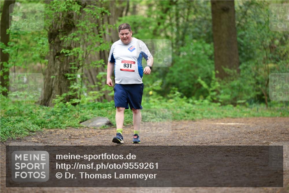 19.04.2026 - Hammer Lauf Dr. Thomas Lammeyer http://msf.ph/oto/9559261 19.04.2026 12:47:23 Laufen 931 meine-sportfotos.de