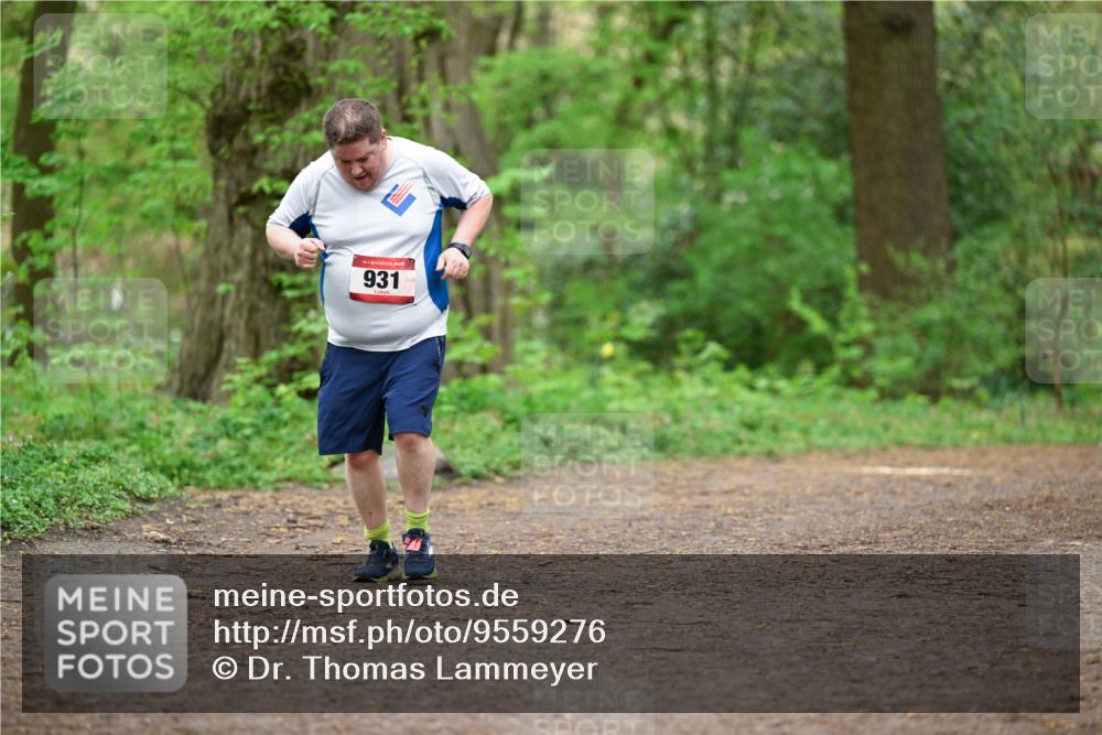 19.04.2026 - Hammer Lauf Dr. Thomas Lammeyer http://msf.ph/oto/9559276 19.04.2026 12:47:25 Laufen 931 meine-sportfotos.de