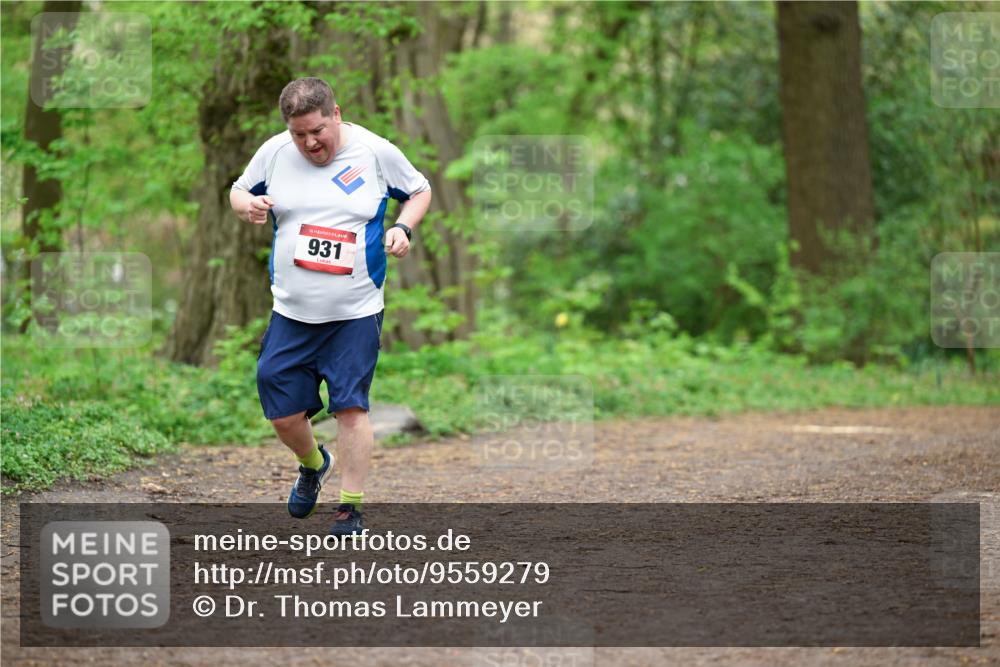 19.04.2026 - Hammer Lauf Dr. Thomas Lammeyer http://msf.ph/oto/9559279 19.04.2026 12:47:25 Laufen 931 meine-sportfotos.de