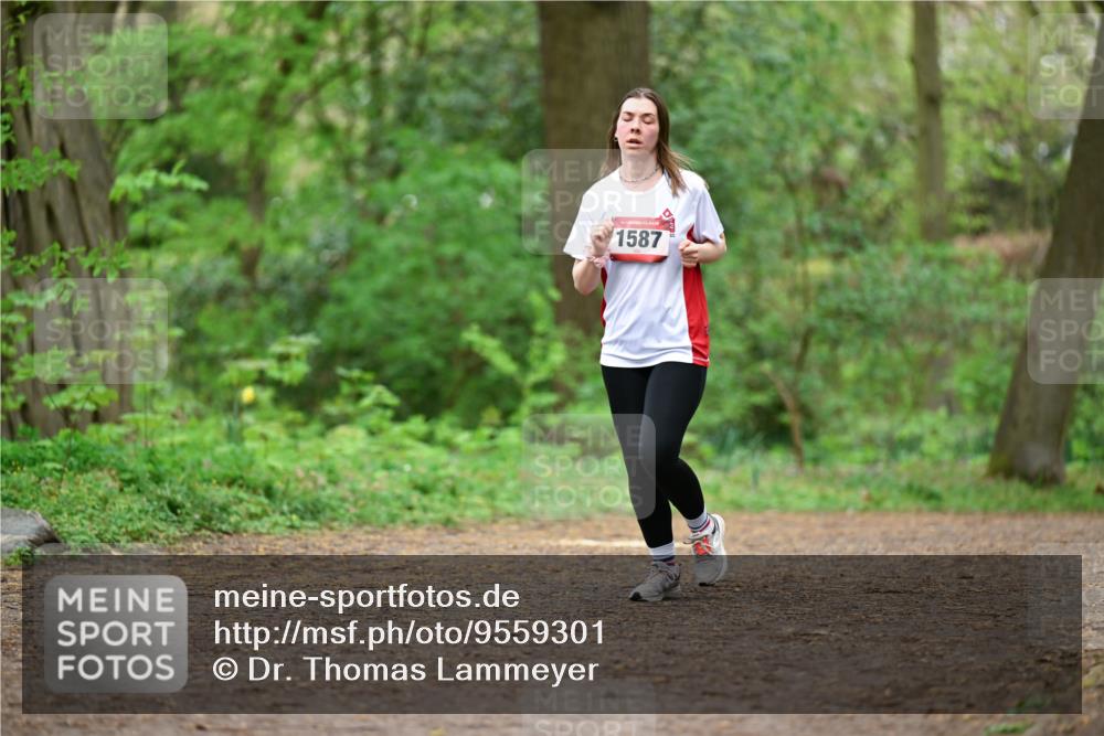 19.04.2026 - Hammer Lauf Dr. Thomas Lammeyer http://msf.ph/oto/9559301 19.04.2026 12:47:30 Laufen 1587 meine-sportfotos.de