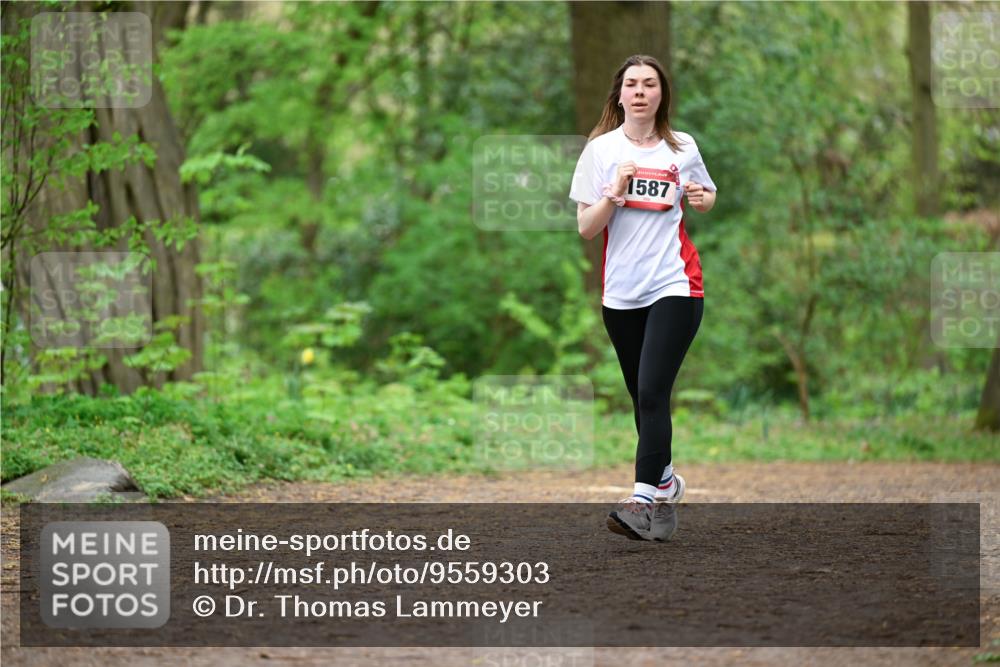 19.04.2026 - Hammer Lauf Dr. Thomas Lammeyer http://msf.ph/oto/9559303 19.04.2026 12:47:30 Laufen 1587 meine-sportfotos.de