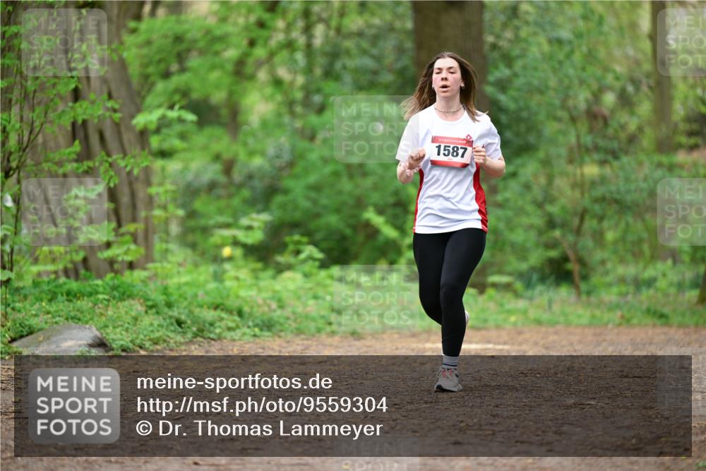 19.04.2026 - Hammer Lauf Dr. Thomas Lammeyer http://msf.ph/oto/9559304 19.04.2026 12:47:30 Laufen 1587 meine-sportfotos.de