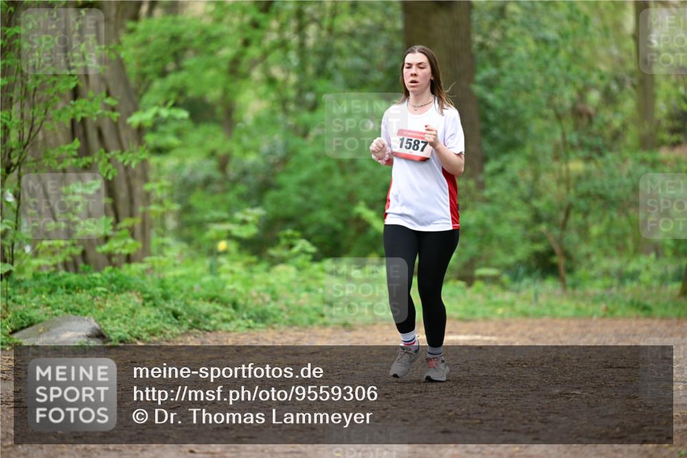 19.04.2026 - Hammer Lauf Dr. Thomas Lammeyer http://msf.ph/oto/9559306 19.04.2026 12:47:30 Laufen 1587 meine-sportfotos.de