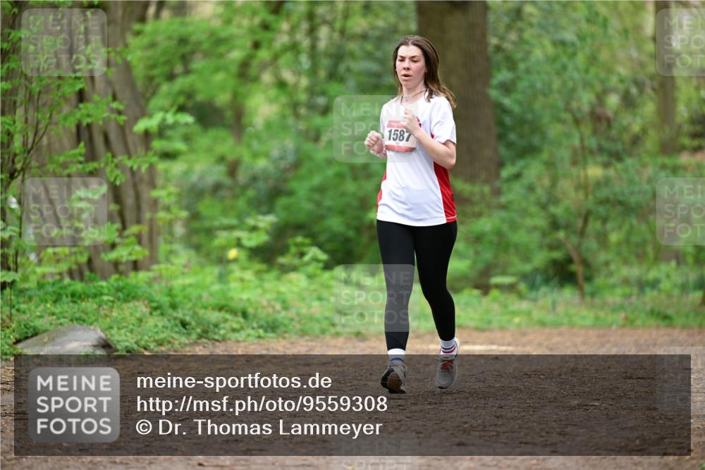 19.04.2026 - Hammer Lauf Dr. Thomas Lammeyer http://msf.ph/oto/9559308 19.04.2026 12:47:30 Laufen 1587 meine-sportfotos.de