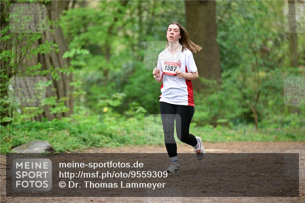 19.04.2026 - Hammer Lauf Dr. Thomas Lammeyer http://msf.ph/oto/9559309 19.04.2026 12:47:30 Laufen 1587 meine-sportfotos.de