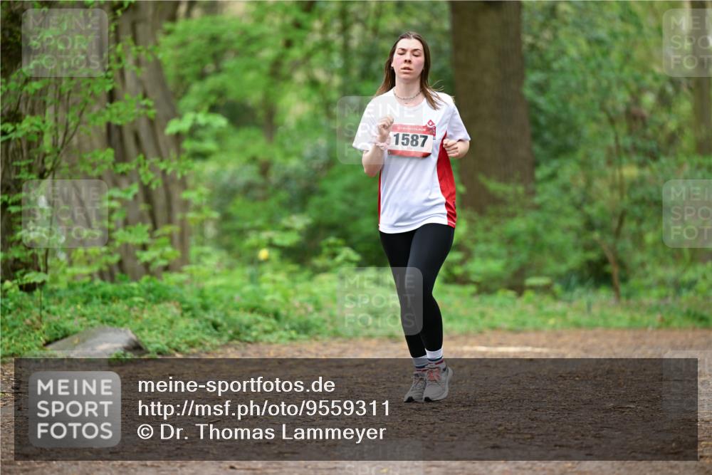 19.04.2026 - Hammer Lauf Dr. Thomas Lammeyer http://msf.ph/oto/9559311 19.04.2026 12:47:31 Laufen 1587 meine-sportfotos.de