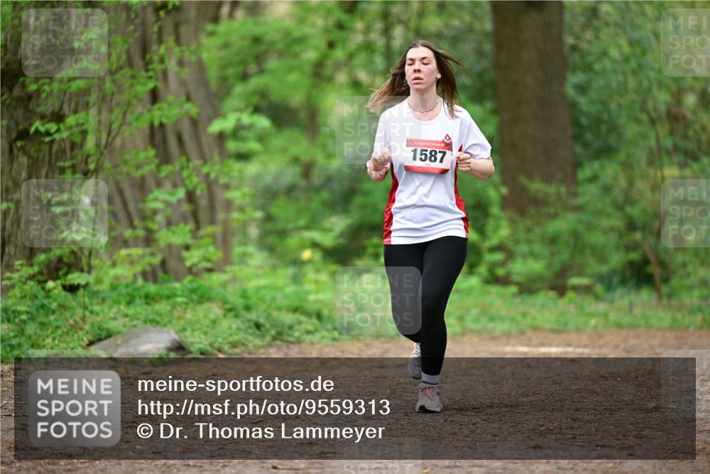 19.04.2026 - Hammer Lauf Dr. Thomas Lammeyer http://msf.ph/oto/9559313 19.04.2026 12:47:31 Laufen 1587 meine-sportfotos.de