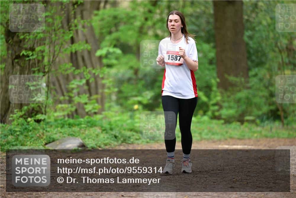19.04.2026 - Hammer Lauf Dr. Thomas Lammeyer http://msf.ph/oto/9559314 19.04.2026 12:47:31 Laufen 1587 meine-sportfotos.de