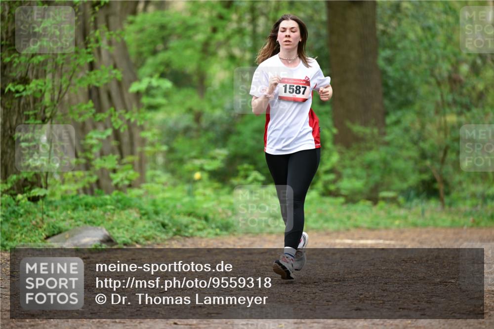 19.04.2026 - Hammer Lauf Dr. Thomas Lammeyer http://msf.ph/oto/9559318 19.04.2026 12:47:31 Laufen 1587 meine-sportfotos.de