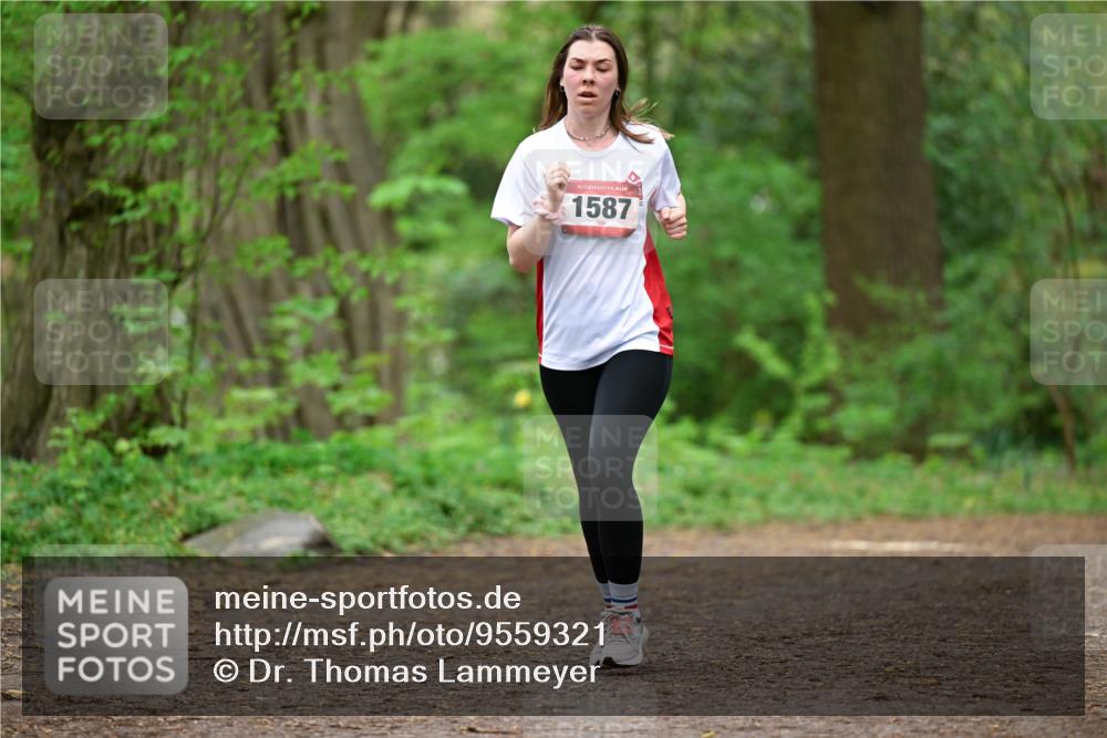 19.04.2026 - Hammer Lauf Dr. Thomas Lammeyer http://msf.ph/oto/9559321 19.04.2026 12:47:31 Laufen 1587 meine-sportfotos.de