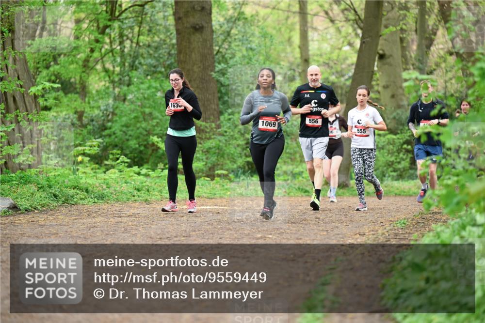 19.04.2026 - Hammer Lauf Dr. Thomas Lammeyer http://msf.ph/oto/9559449 19.04.2026 12:47:50 Laufen 1636, 1069, 556, 555 meine-sportfotos.de