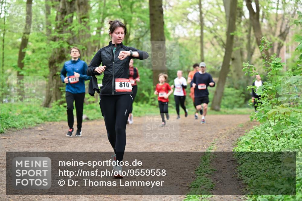 19.04.2026 - Hammer Lauf Dr. Thomas Lammeyer http://msf.ph/oto/9559558 19.04.2026 12:48:02 Laufen 972, 810 meine-sportfotos.de