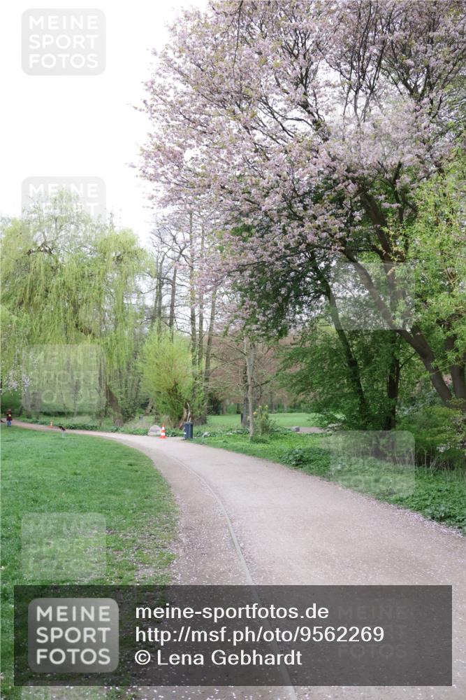 19.04.2026 - Hammer Lauf Lena Gebhardt http://msf.ph/oto/9562269 19.04.2026 09:16:18 Laufen  meine-sportfotos.de