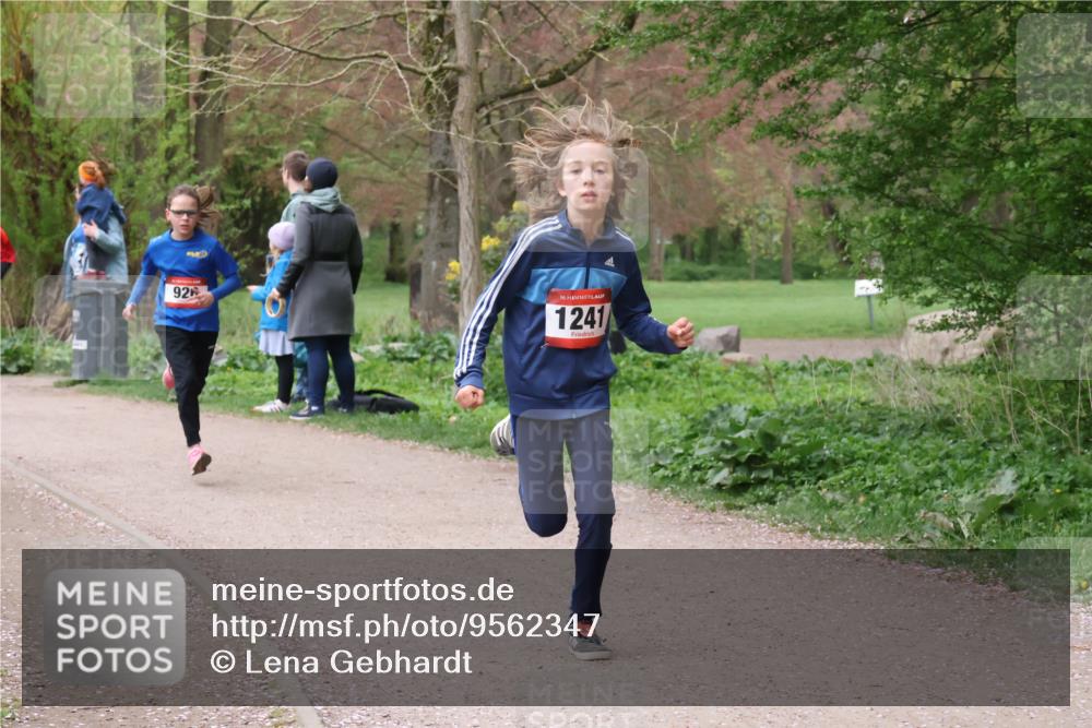 19.04.2026 - Hammer Lauf Lena Gebhardt http://msf.ph/oto/9562347 19.04.2026 09:25:01 Laufen 92, 16, 1241 meine-sportfotos.de