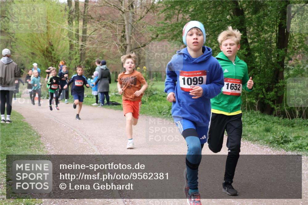 19.04.2026 - Hammer Lauf Lena Gebhardt http://msf.ph/oto/9562381 19.04.2026 09:25:15 Laufen 1526, 16, 1099, 16, 1652 meine-sportfotos.de