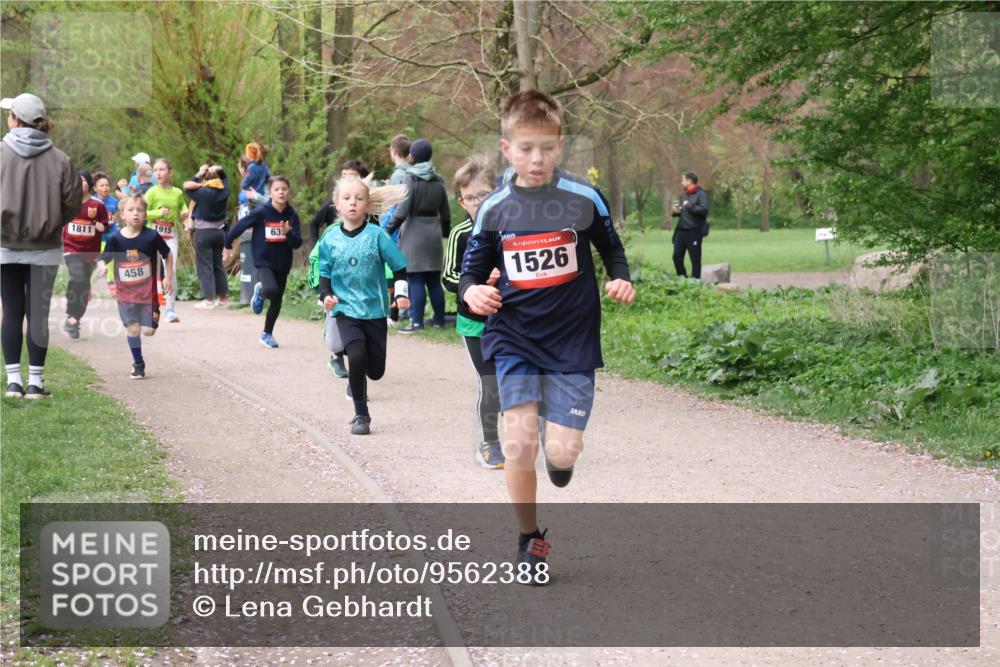 19.04.2026 - Hammer Lauf Lena Gebhardt http://msf.ph/oto/9562388 19.04.2026 09:25:17 Laufen 1915, 1811, 458, 63, 16, 1526 meine-sportfotos.de