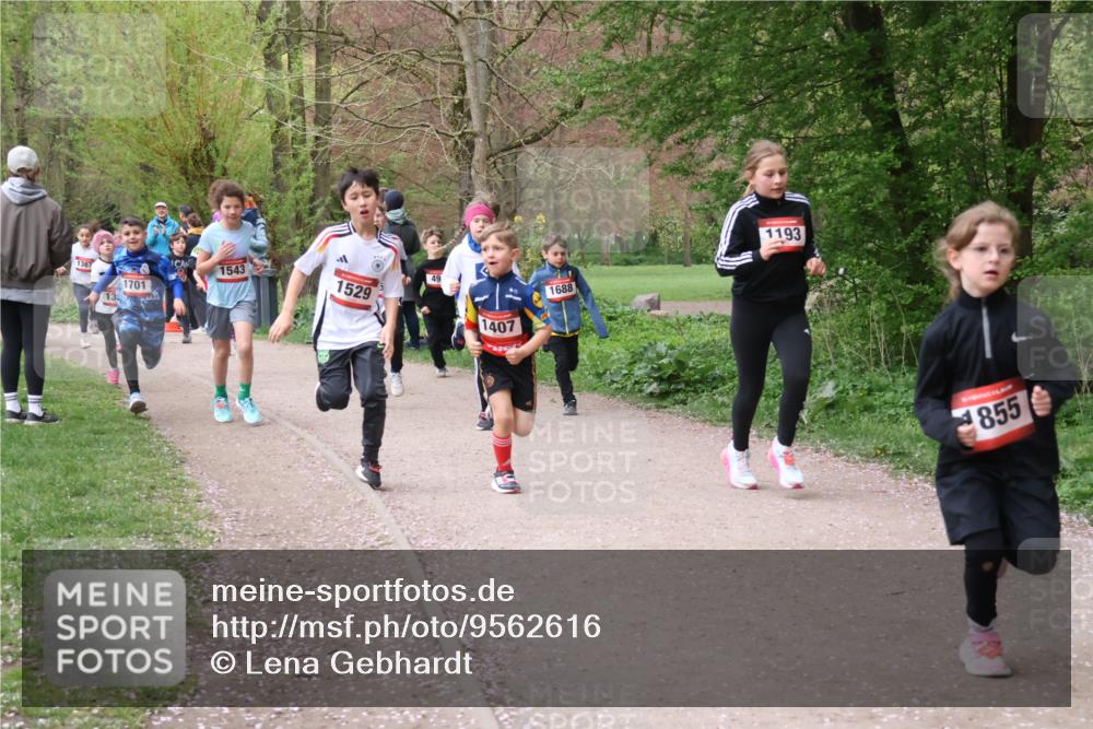 19.04.2026 - Hammer Lauf Lena Gebhardt http://msf.ph/oto/9562616 19.04.2026 09:26:37 Laufen 1367, 1701, 1543, 1529, 49, 1407, 1688, 1193, 855 meine-sportfotos.de