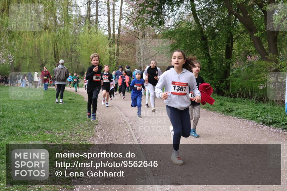 19.04.2026 - Hammer Lauf Lena Gebhardt http://msf.ph/oto/9562646 19.04.2026 09:26:44 Laufen 594, 184, 1367, 16 meine-sportfotos.de