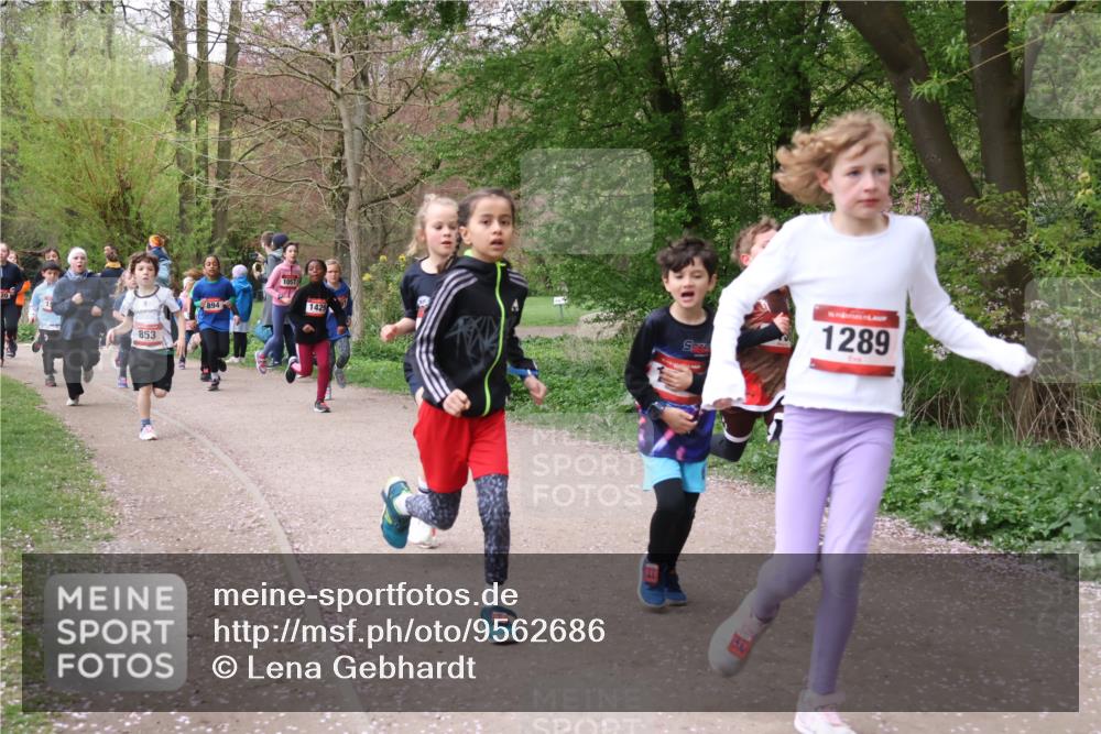 19.04.2026 - Hammer Lauf Lena Gebhardt http://msf.ph/oto/9562686 19.04.2026 09:26:56 Laufen 20, 853, 894, 1057, 1429, 19, 16, 1289 meine-sportfotos.de