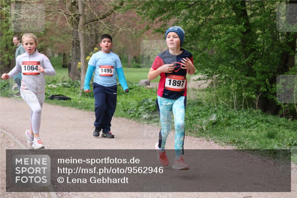 19.04.2026 - Hammer Lauf Lena Gebhardt http://msf.ph/oto/9562946 19.04.2026 09:28:45 Laufen 1064, 1495, 16, 1897 meine-sportfotos.de